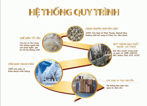 Nguồn nguyên liệu tổ yến SẠCH thu hoạch tại Tuy Hoà và Bình Định